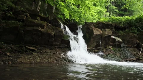 Mountain stream and green forest at sunny summer day Stock Footage 333560542