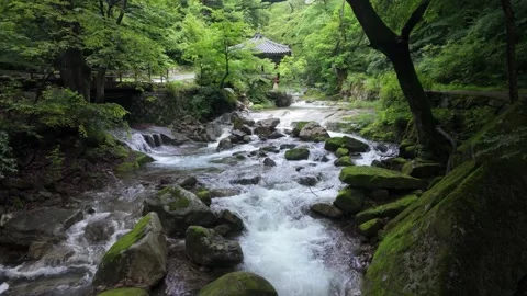 Mountain stream and river flow near traditional pavilion in green forest Stock Footage 340537496