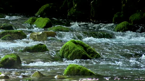 Mountain Stream and River Surface Video stock 330798679