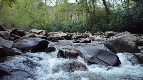 Mountain stream and rocks 60 fps 動画素材 139584690