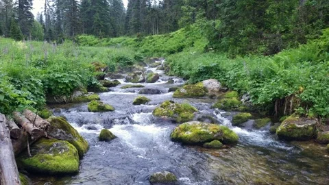 Mountain stream and rocky river Stock Footage 202293141