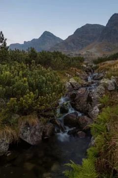 Mountain stream and small cascade in Tatras Stock Photos