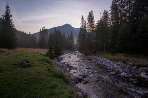 Mountain stream and small cascade in Tatras Stock Photos