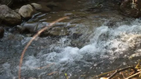 Mountain stream and spider net Stock Footage 10805078