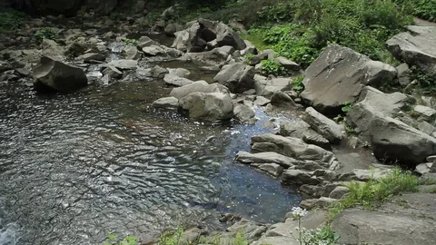 Mountain stream and stones in the forest cascade fresh green landscape nature Stock Footage 99371273