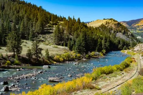 Mountain Stream and Tracks Stock Photos