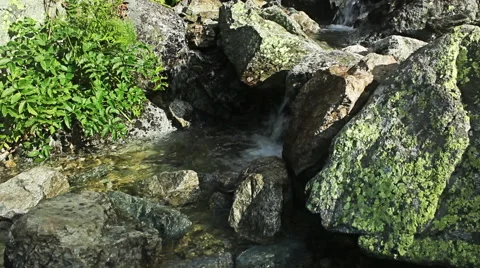 Mountain stream and waterfall in a alpine mountain, green meadow valley Stock Footage 51533412