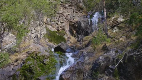 Mountain Stream and Waterfall in a Forest Stock Footage 320855158