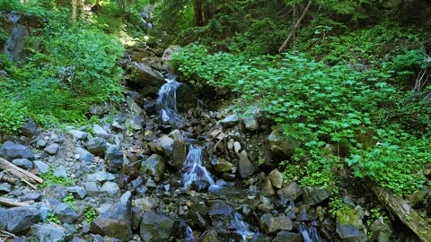 Mountain Stream and Waterfall on the Spray Park Trail in Mount Rainier National Stock Footage 332080792