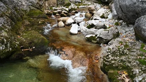 Mountain stream with autumn colours Stock-Footage 260932929