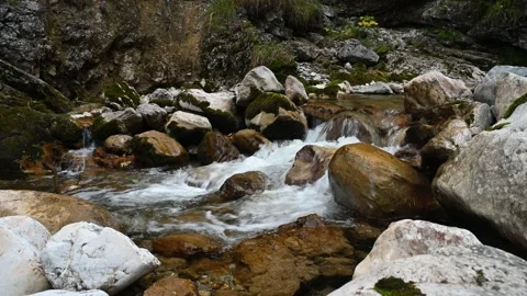 Mountain stream with autumn colours Video stock 260933060