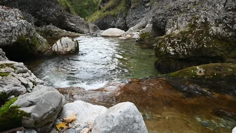 Mountain stream in autumn, downward view 스톡 동영상 260933018