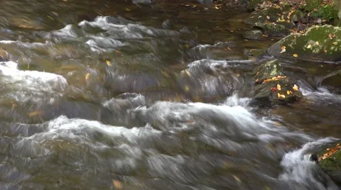 Mountain Stream with Autumn Foliage Vidéo 64825527