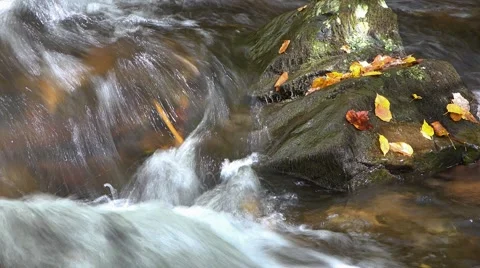 Mountain Stream with Autumn Foliage Video stock 64825531