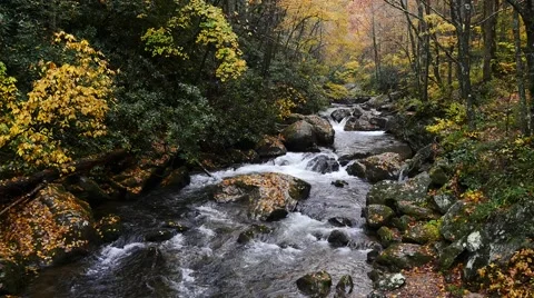 Mountain Stream in Autumn  Stock Footage 56773460