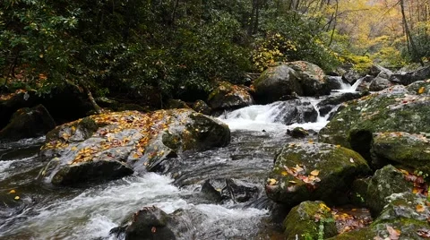 Mountain Stream in Autumn  Stockbeeldmateriaal 56774568