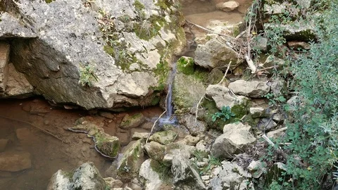 Mountain stream in autumn Video stock 81537724