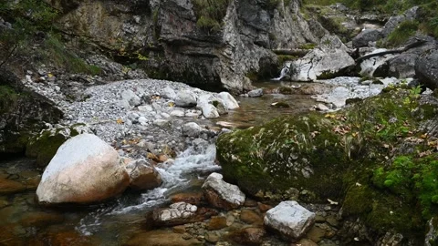A mountain stream in autumn Video stock 260828090