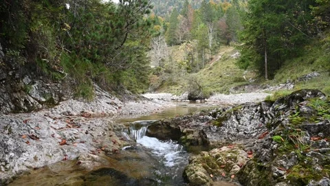A mountain stream in autumn Video stock 260864685