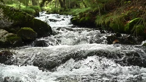 A mountain stream in an autumn forest, closeup, slow motion, Josefsthal, Bavaria Video stock 288149903