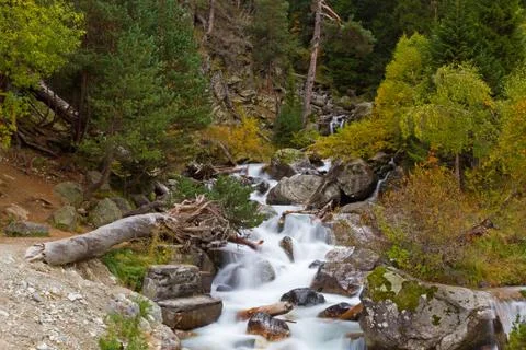 Mountain stream autumn forest Stock Photos