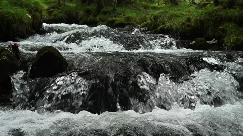 A mountain stream in an autumn forest, slow motion, Josefsthal, Bavaria Stock-Footage 288149896