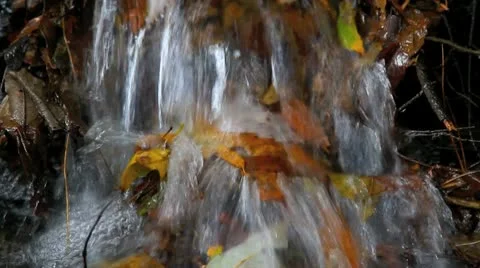 Mountain Stream in autumn forest.+sound Stock Footage 9435456