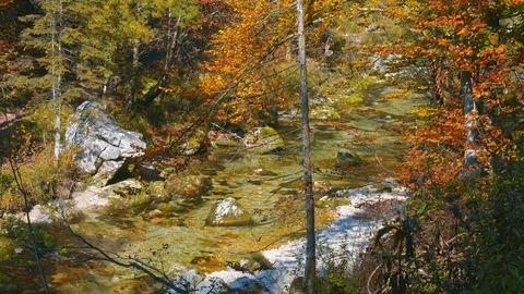 Mountain stream in autumn landscape Stock Footage 119113980