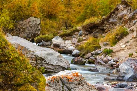 Mountain stream autumn Stock Photos
