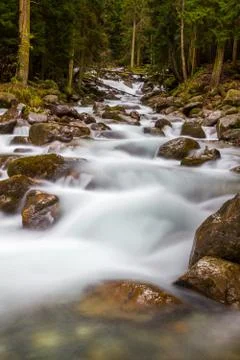 Mountain stream autumn Stock Photos