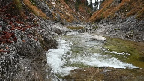 Mountain stream in an autumn setting (slow motion) 스톡 동영상 260847992