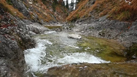 Mountain stream in an autumn setting (slow motion) Stock-Footage 260848008