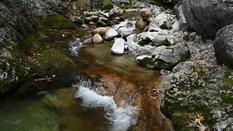 A mountain stream in autumn (slow motion) Video stock 260828606