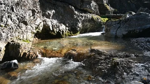 A mountain stream in autumn sunlight Stock Footage 260829058