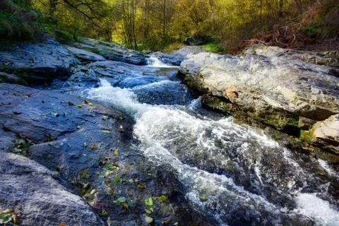 Mountain stream in autumn time Stock Photos
