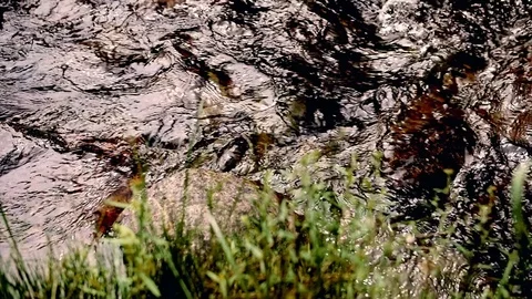 Mountain stream B Roll Stock Footage 76624169