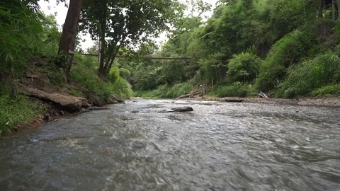 Mountain stream background in woods. 動画素材 154579303