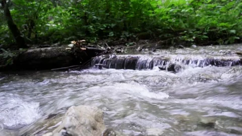 Mountain stream beautiful fallen green tree Stock Footage 137920853