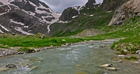 Mountain stream in a beautiful meadow in summer in Switzerland with mountains in Stock Footage 311635399