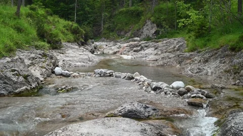 Mountain stream with beautiful stones Stock Footage 211459768