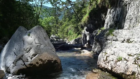 A mountain stream between beautiful rocks in a forest Stock-Footage 219356453