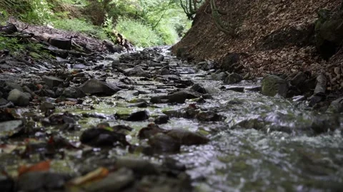 Mountain stream between the stones 4k Stock Footage 138866203