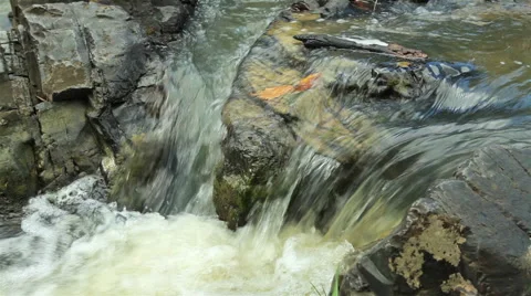 Mountain stream between stones. Little rapids. Stock Footage 57588069
