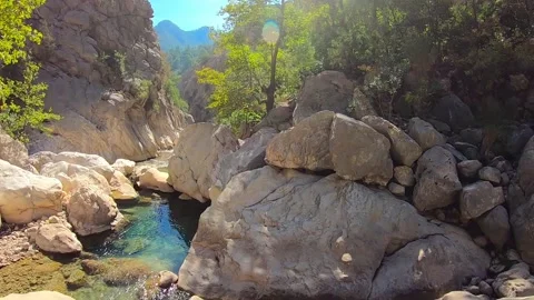 Mountain stream at the bottom of the canyon Stock Footage 142736889