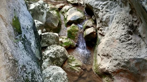 Mountain stream in the bottom of a gorge Video stock 81537711