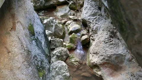 Mountain stream in the bottom of a gorge Stock Footage 81537718