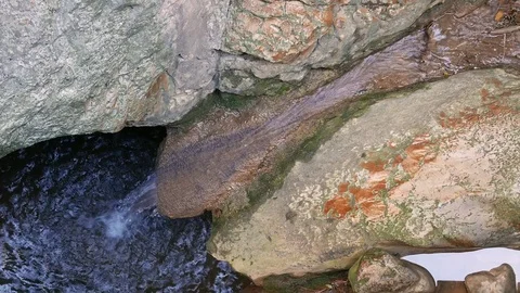 Mountain stream in the bottom of a gorge Stock Footage 81537730