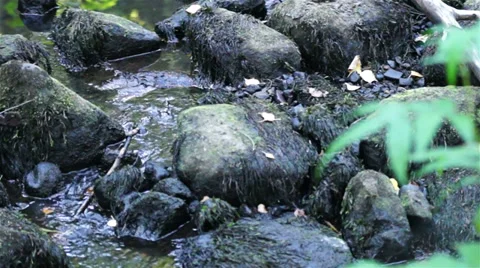 Mountain stream with boulders Stock Footage 30018324
