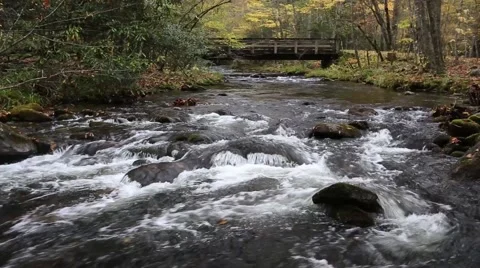 Mountain Stream Bridge Fall Video stock 43486744