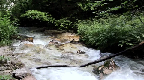 Mountain stream camera tracking 库存影片 28678678